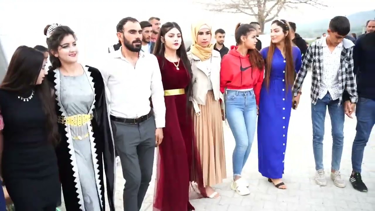 حفلات قوشلي وزكريا حفلة عارف و مليحة