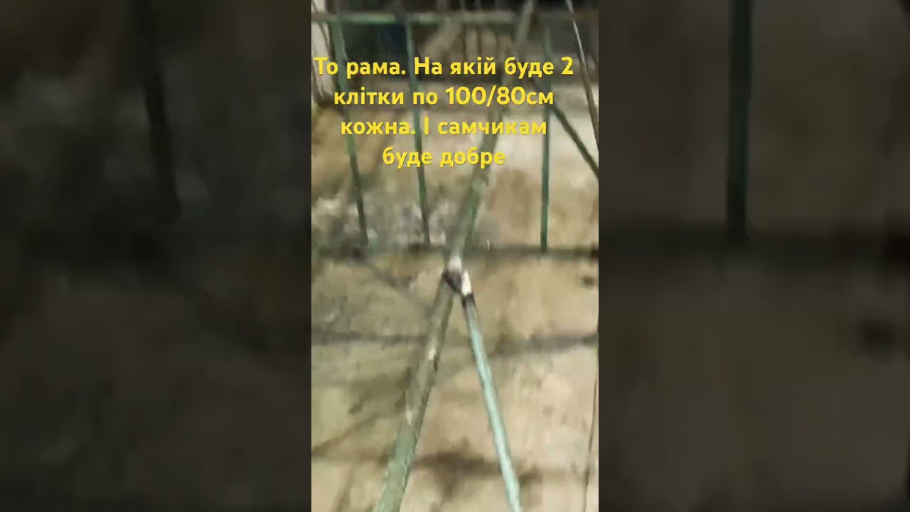 Кролик Панон. Бюджетна клітка за ціною трьох електродів. 