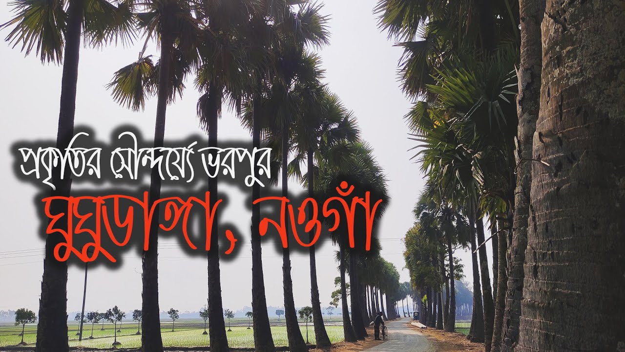 প্রাকৃতিক সৌন্দর্য্যে ভরপুর ঘুঘুডাঙ্গা, নওগাঁ || natural beauty of ghugudanga naogaon || James Baroi