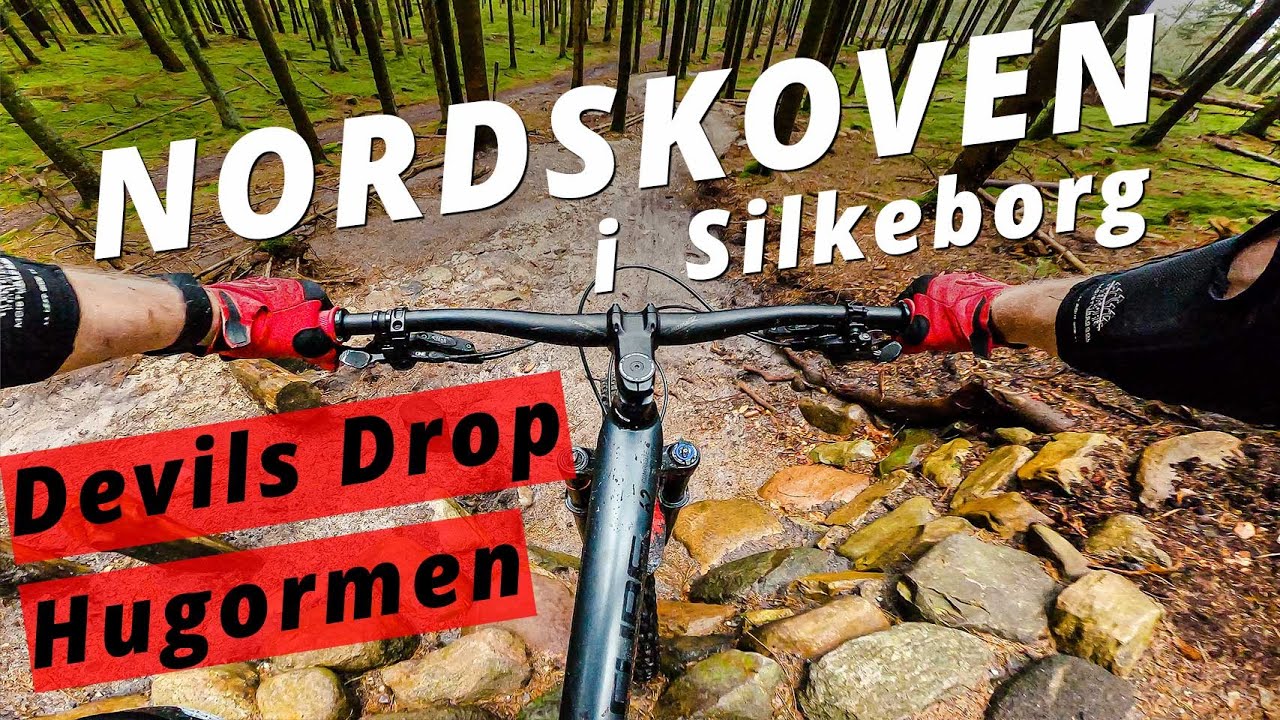Nordskoven Silkeborg Mountainbike spor - Devils Drop, Hugormen og alle de andre fede MTB nedkørsler