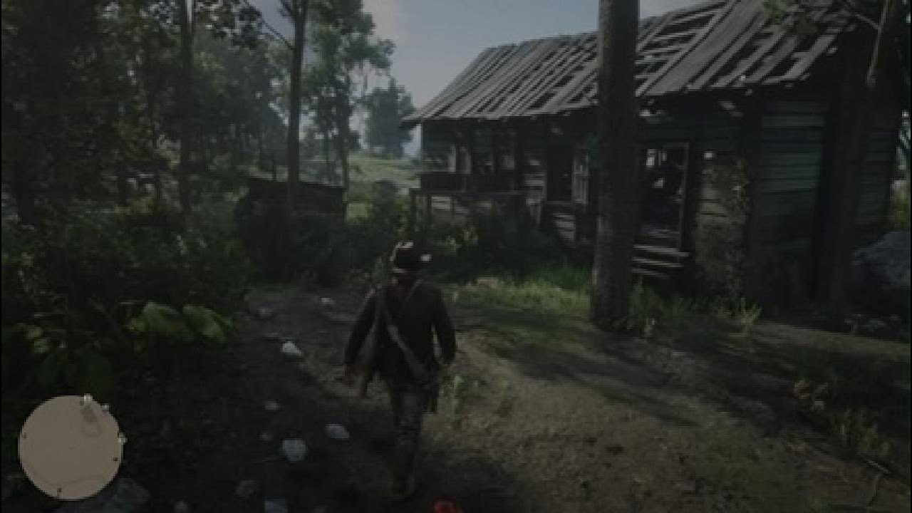 Red Dead Redemption 2_20260110033854