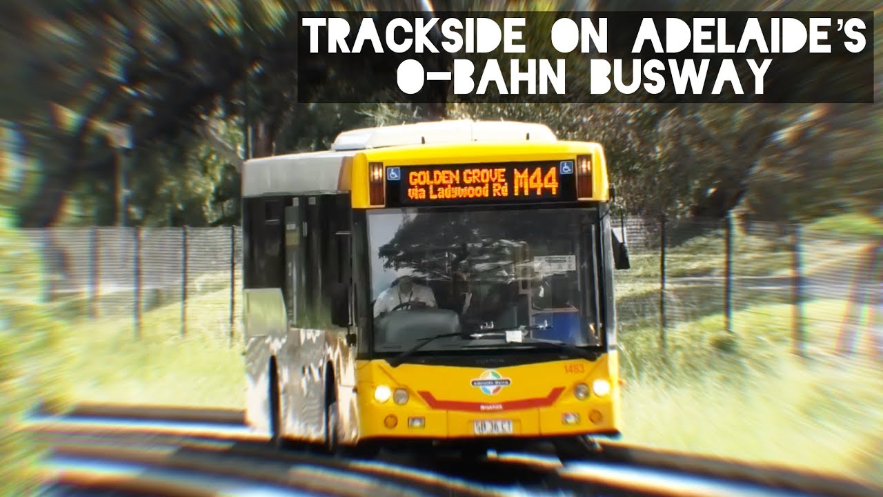 Trackside on Adelaide’s O-Bahn Busway - November 2025