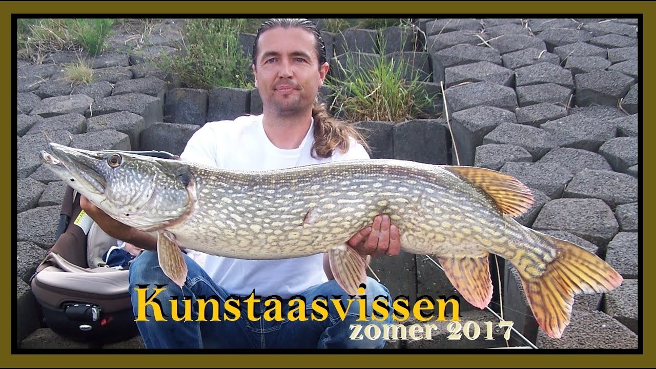 Vissen op snoek met kunstaas zomer 2017 - Lure fishing summer 2017 #39