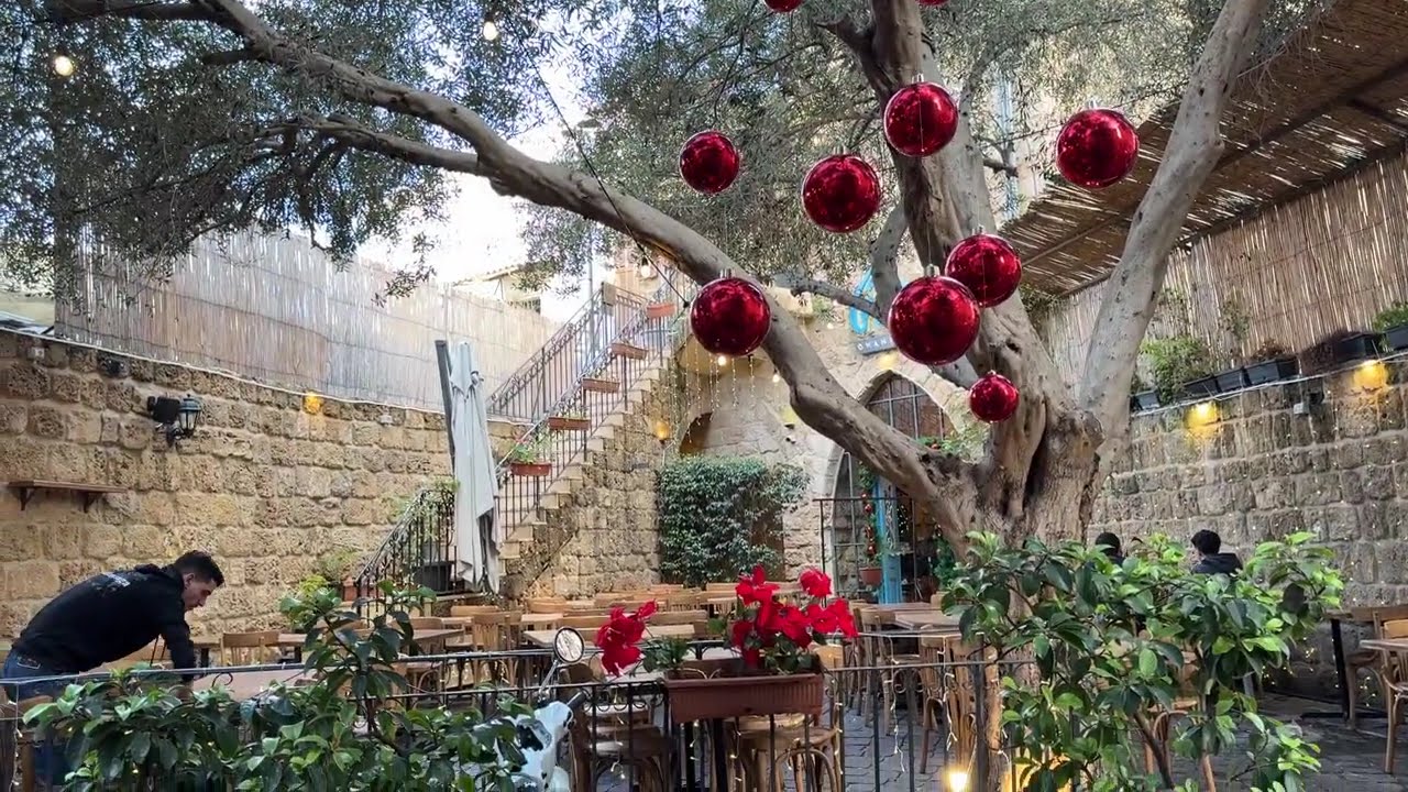 🇱🇧Batroun Lebanon Walking Tour | Old Town & Port