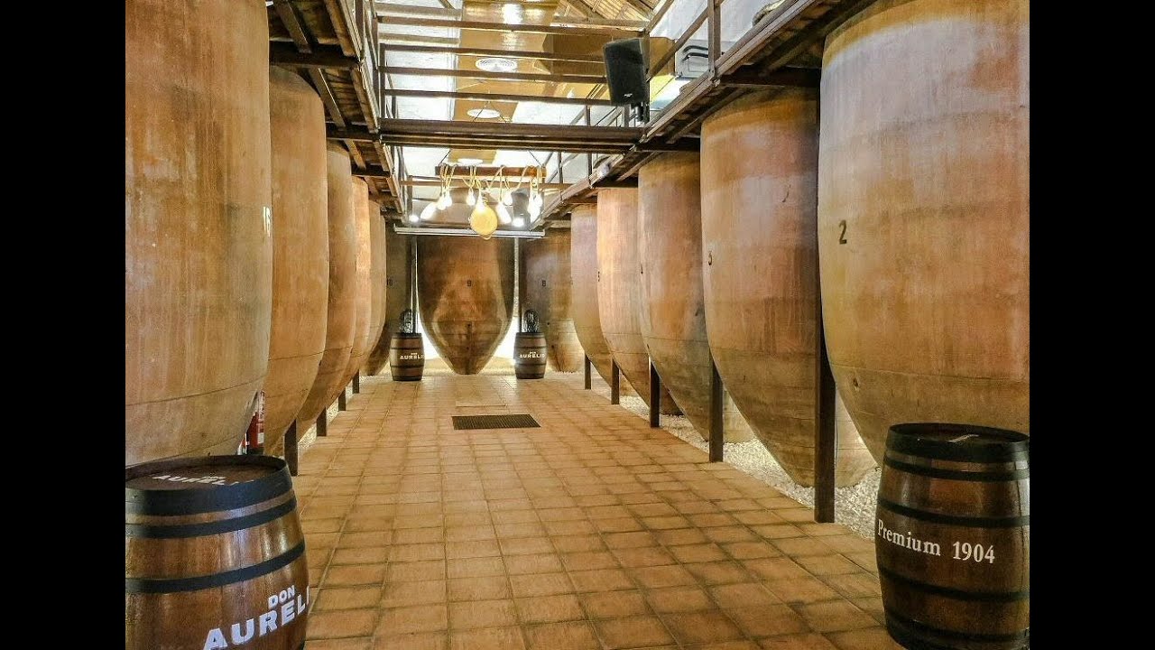 Espagne, VALDEPENAS, visite la Bodega de Las Estrellas.