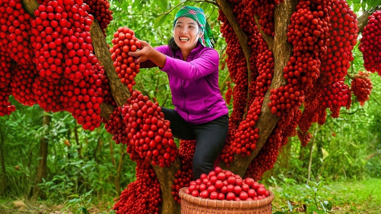 Harvesting Wild Berries in the Forest with My Kids &ndash; Selling at the Market and Cooking Fried Fish