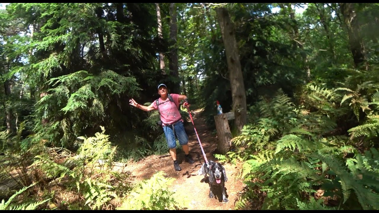 Andreas Schotel wandelroute
