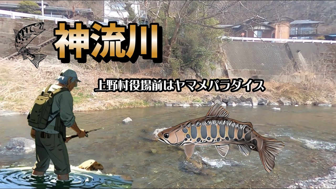 神流川のヤマメ　～役場前はヤマメパラダイス？！～