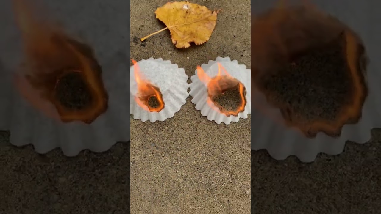 Can your lighter do this? 🙃 #lighter #test #fire #giftideas #deckofcards