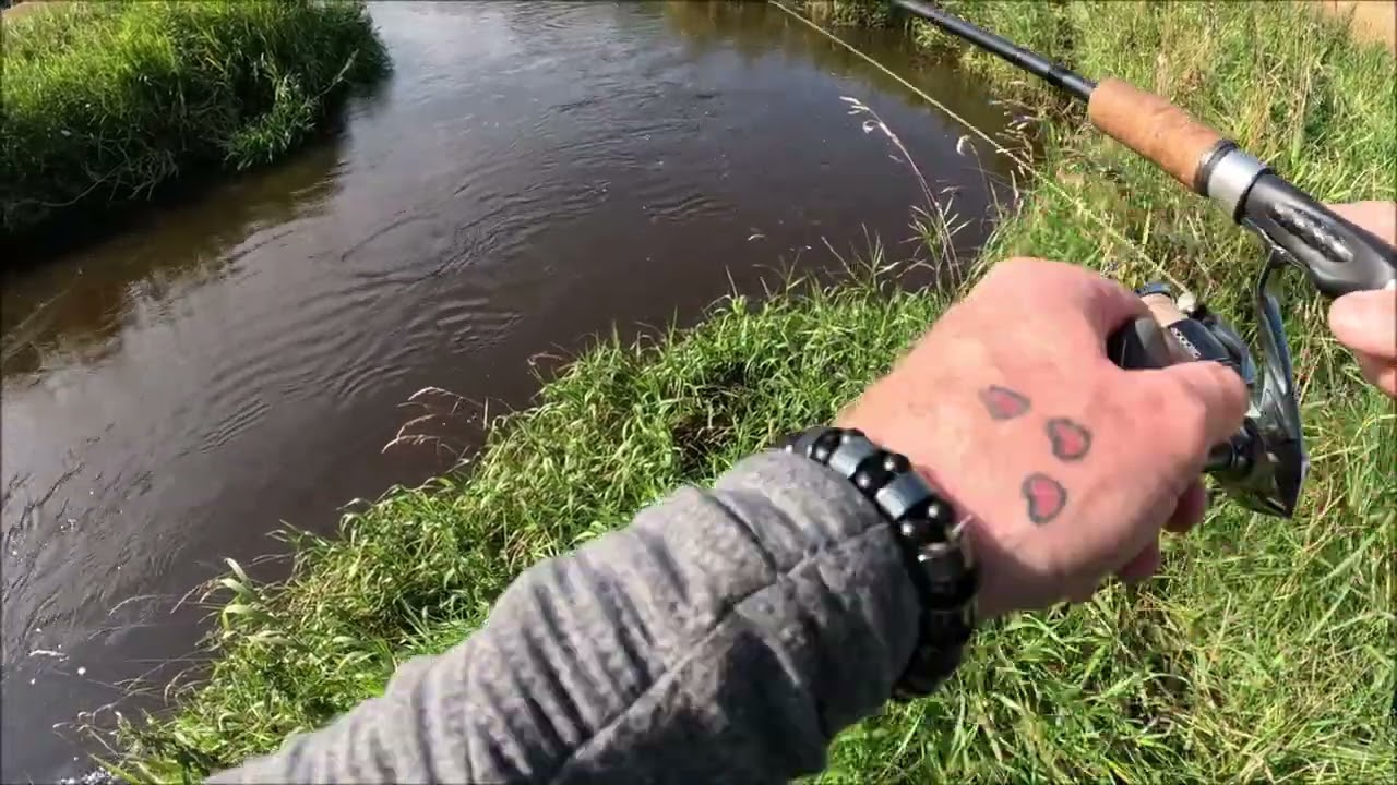 Laksefeberen blev til hedeslag