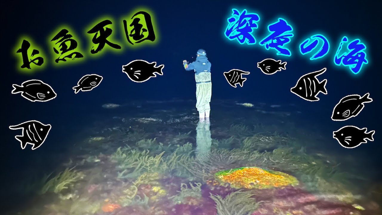 【日本釣り旅#11】富山県の深夜の海で魚がボコボコ入れ食い状態に！