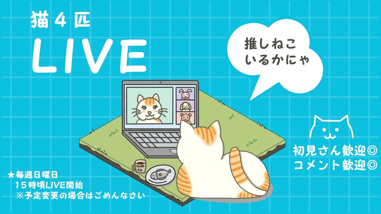 「猫4匹の日常ライブ｜まったり猫部屋」2026.03.01