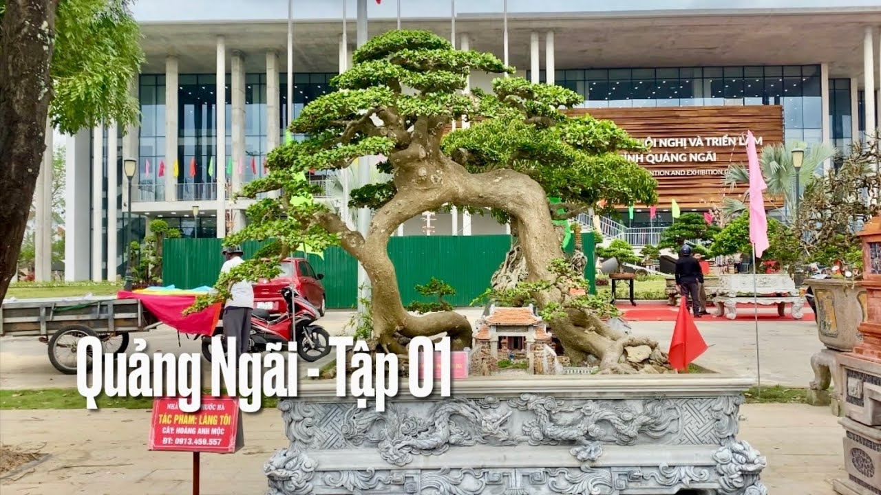 Triển lãm cây cảnh nghệ thuật tỉnh quảng ngãi năm 2025