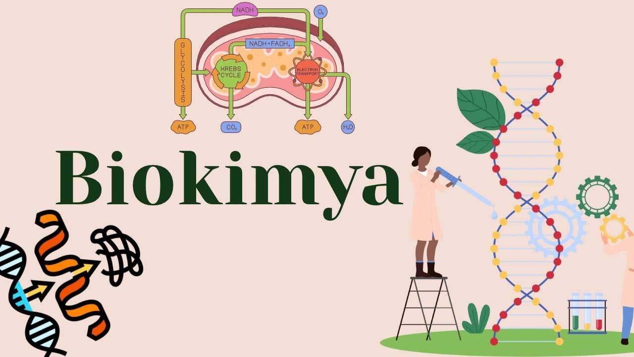 Biokimya: Plastik və Energetik Mübadilə 2ci hissə | Test Toplusu İzahı | DİM