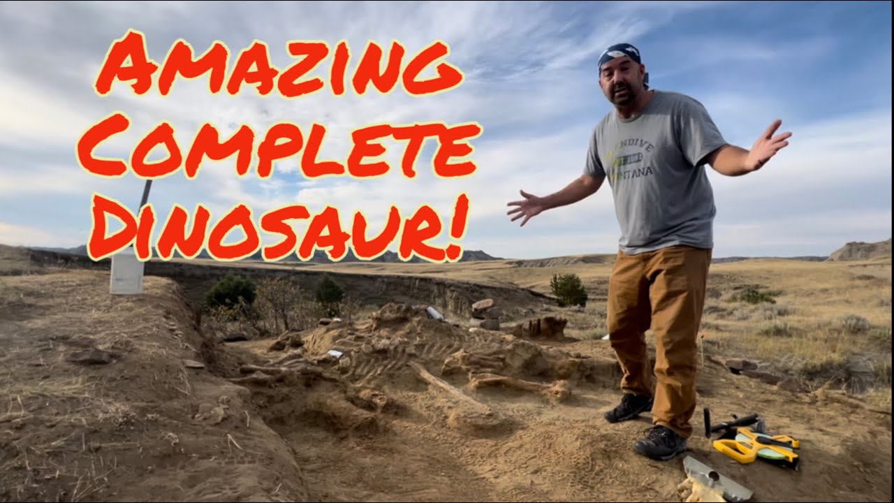 Amazing Dinosaur found on a Montana Ranch!