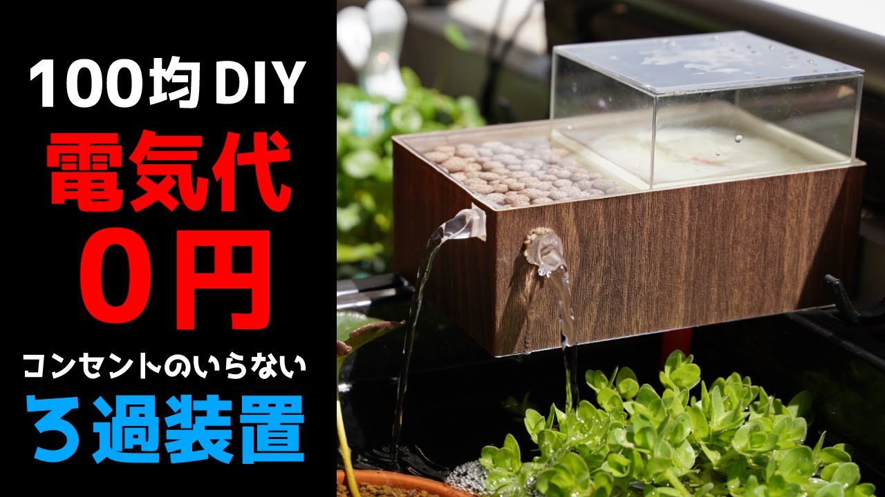 0円で動く濾過装置！ベランダでメダカ飼育する時にかなり重宝します！【How to Filtration device】