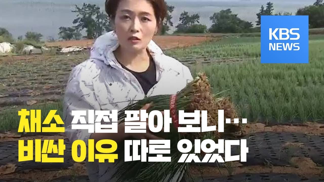 [탐사K] 기자가 직접 쪽파 출하해 보니...