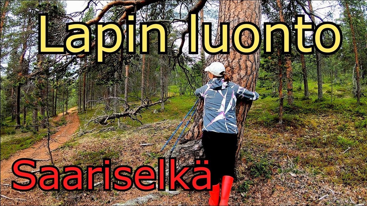 Lapin er&auml;maat-Saariselk&auml;-Tunturit, Joet, UKK Puisto ja Lapin luonto