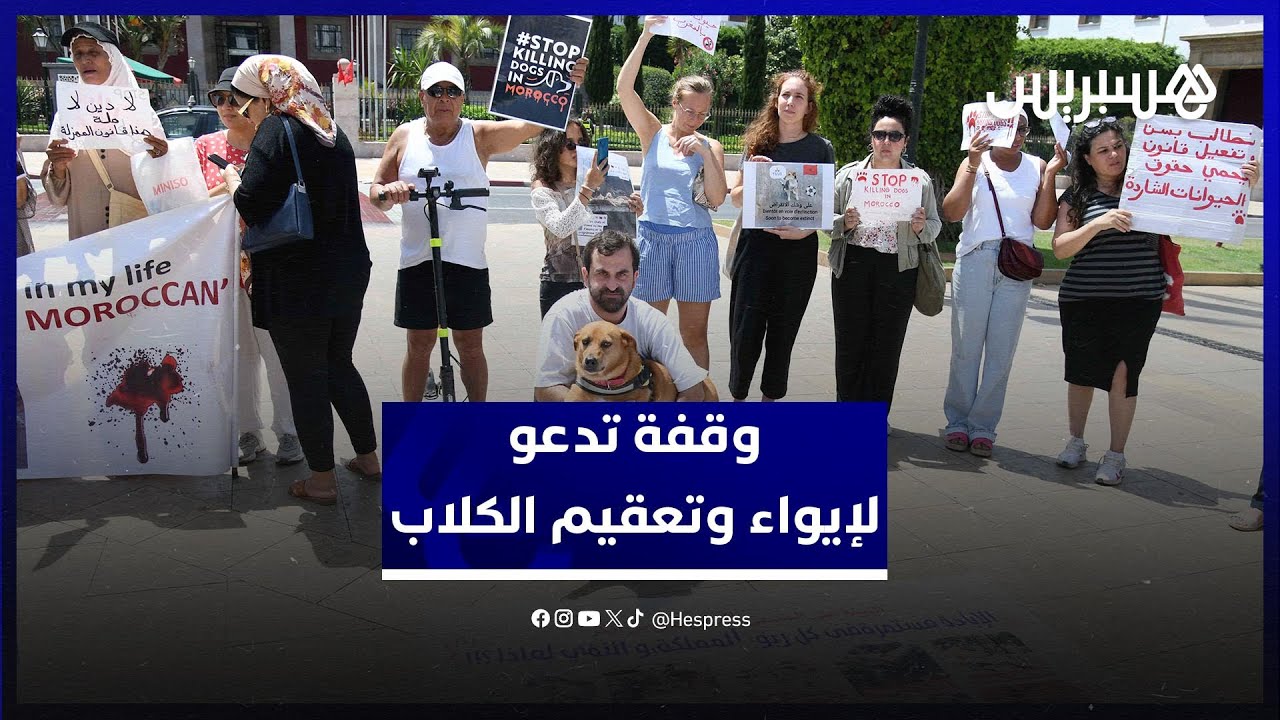 وقفة بالرباط ترفض مشروع القانون 19ـ25 وتدعو لإيواء وتعقيم الكلاب