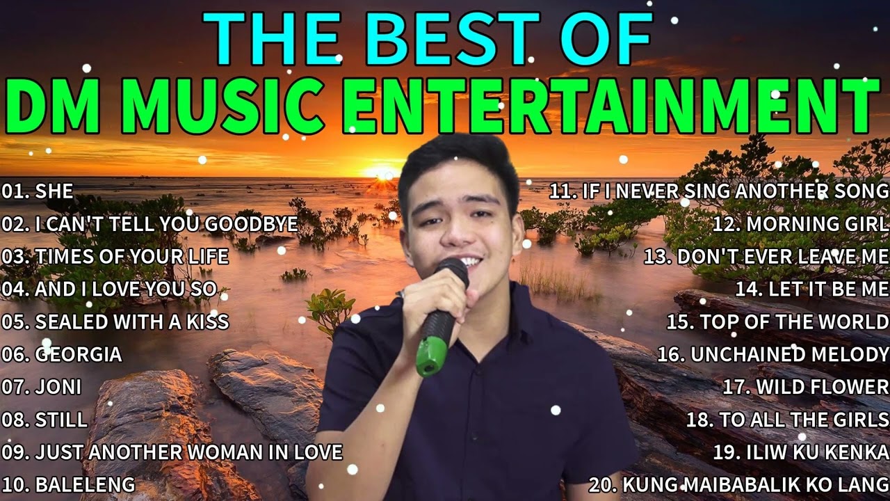 The Best of DM Music Entertainment - DM Music Entertainment Best Cover Songs - Non Stop Playlist.