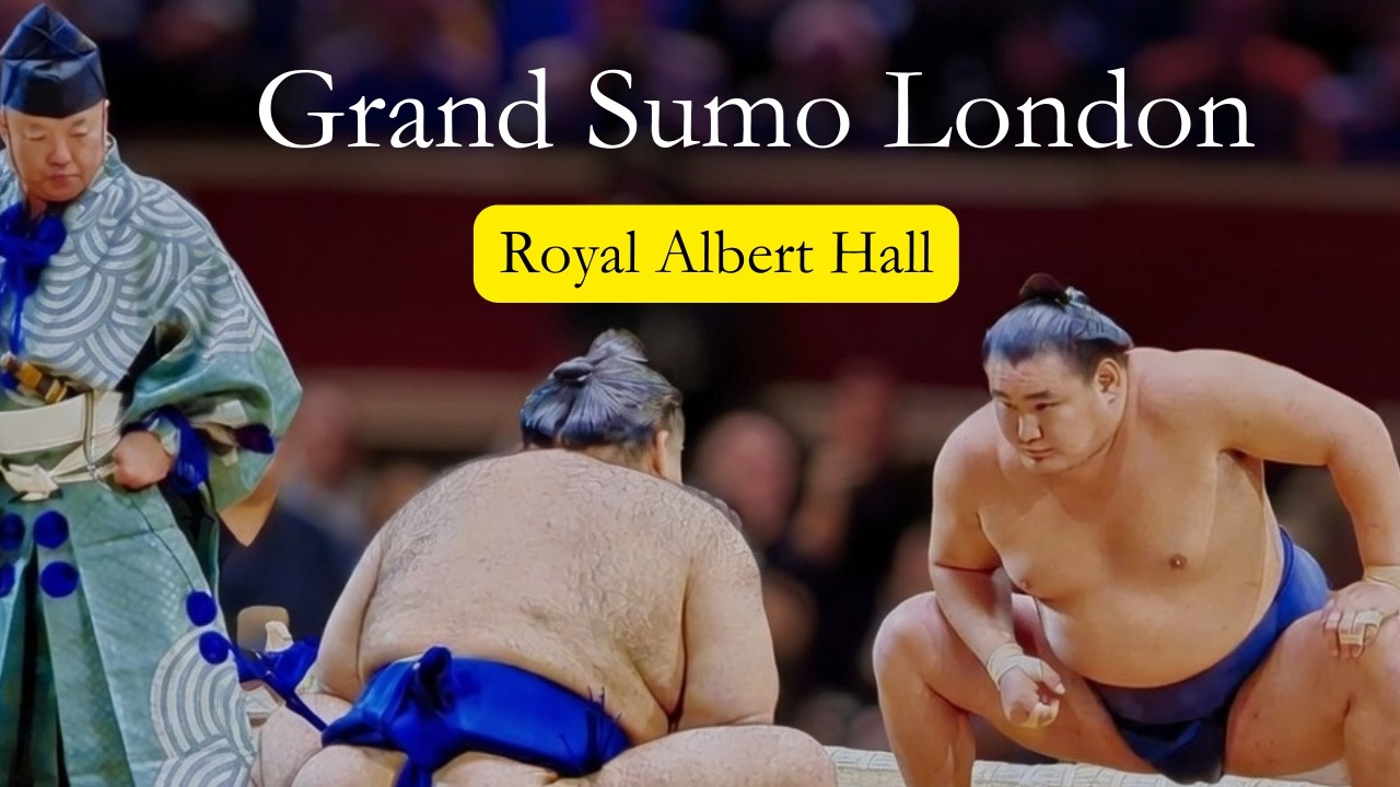 Grand Sumo Tournament in London UK | Royal Albert Hall | Full Experience | 4K