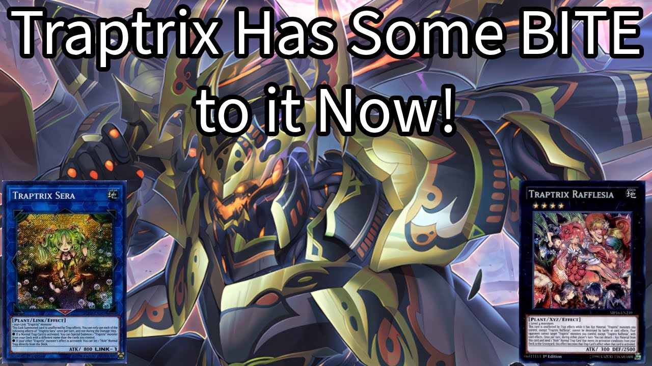 Set 5 Pass? Not Anymore We Don't! Ragnaraika Traptrix Combo Guide