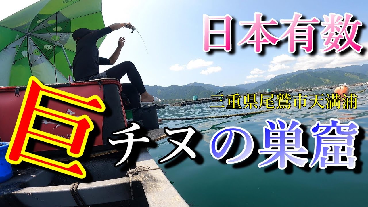 『かかり釣り』日本有数。巨チヌの巣窟。年無し確保
