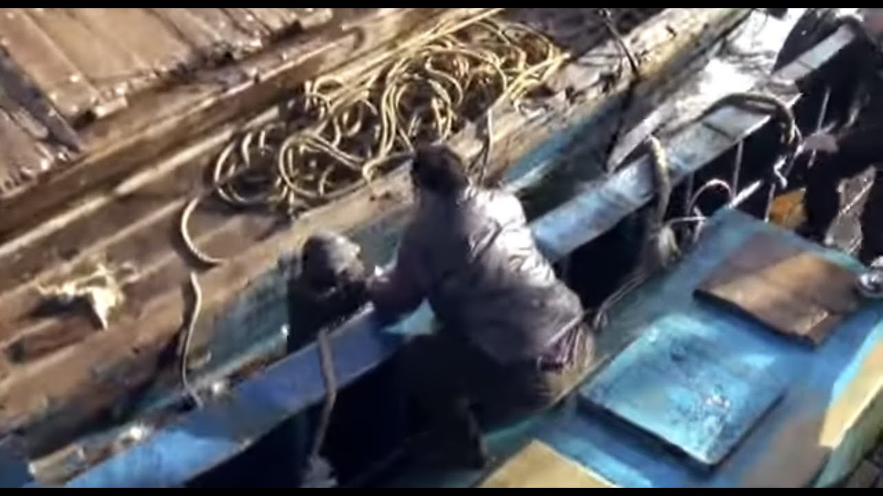탈북민 밀항 - 한글/버전