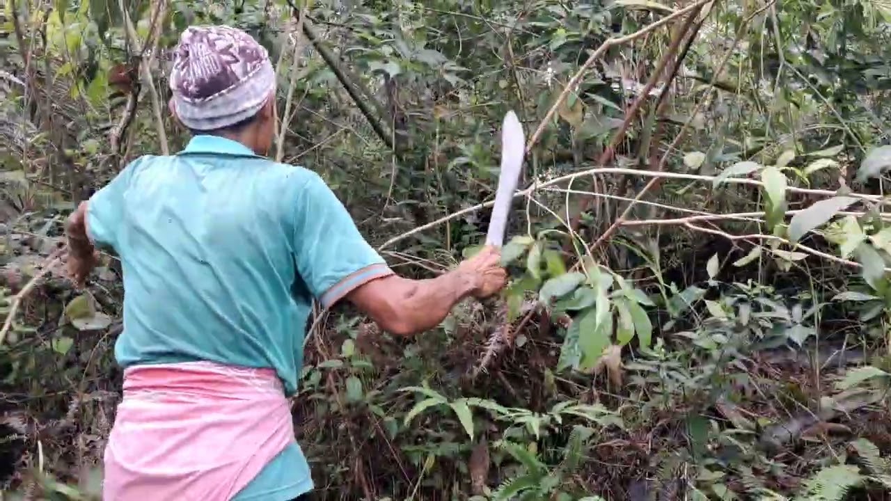 TES TEBAS PARANG GOLOK TRAMONTINA BOLO - MADE IN BRAZIL