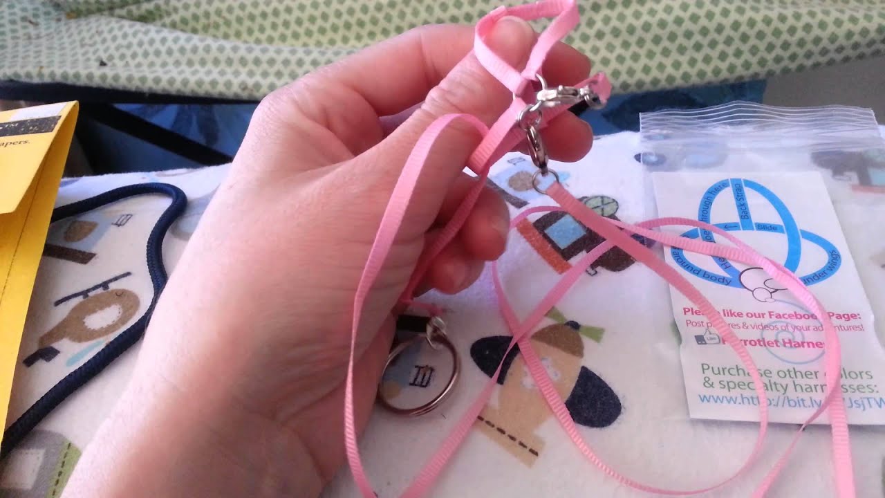 Flight suit vs. mini wings harness