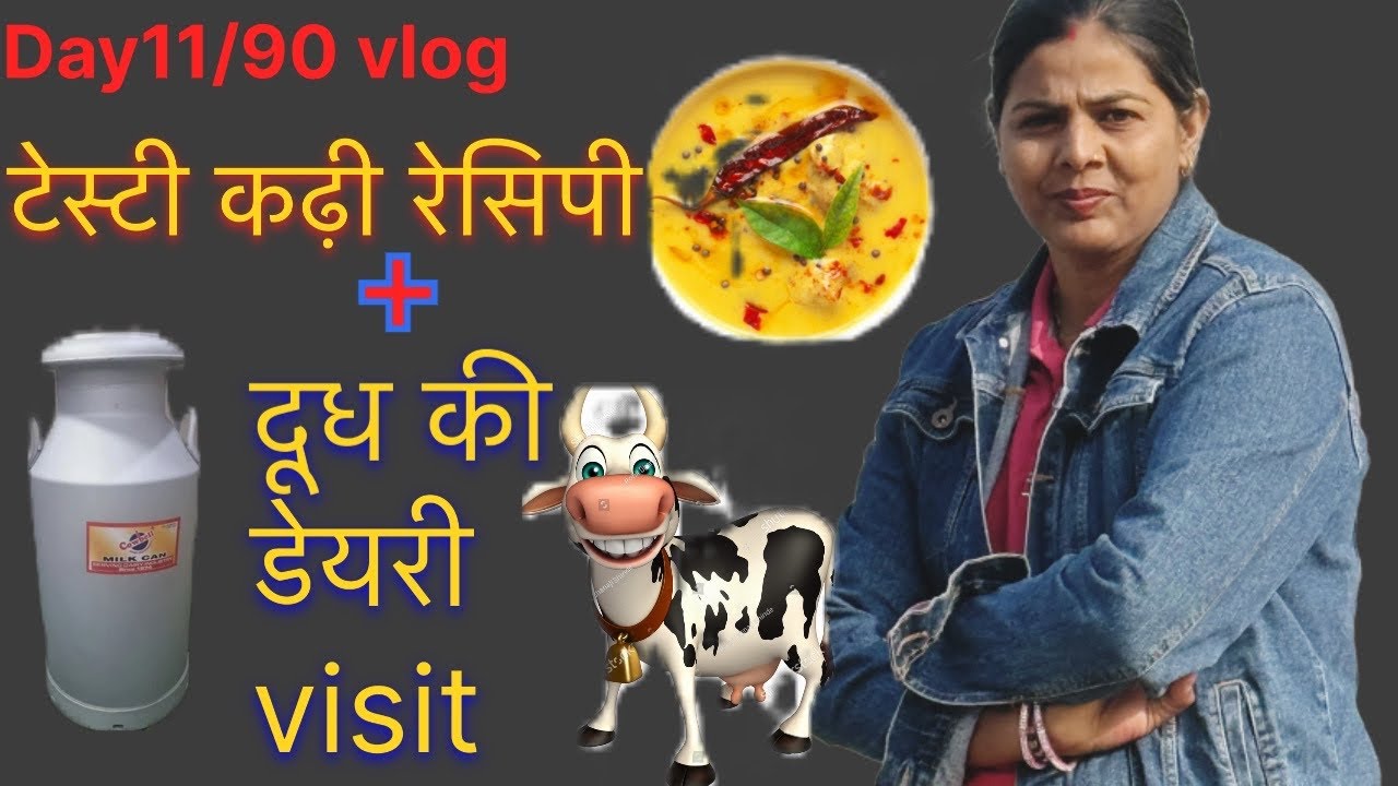 day 11/90 आज के व्लॉग में स्वादिष्ट कढ़ी 😋और दूध डेयरी कि visit 🥛#day11 #vlog 