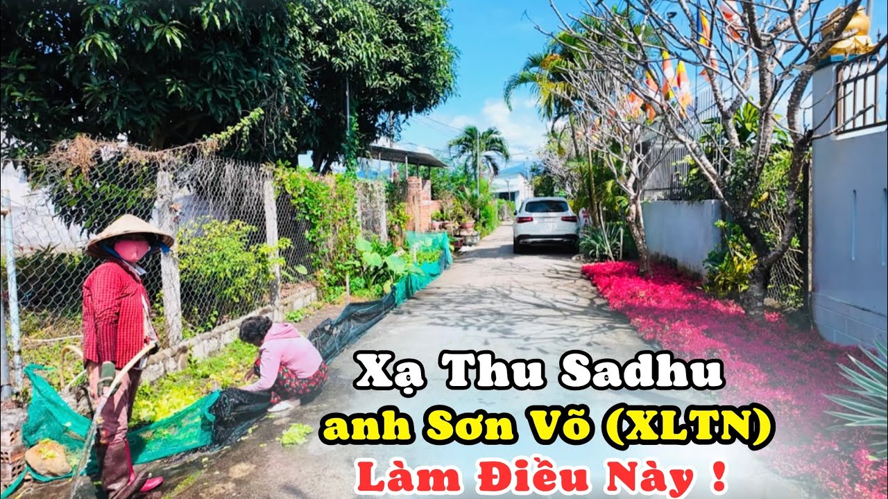 Xạ Thu Xạ Thu Anh Sơn Võ Minnesota Làm Điều Này Cho Các Quý Chùa.