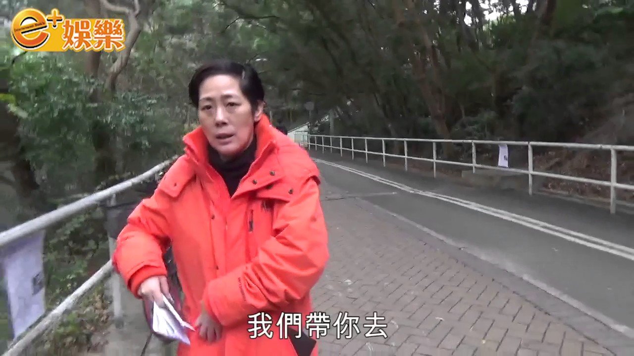 獨家！關淑怡涉刑事恐嚇、襲擊酒店職員被捕