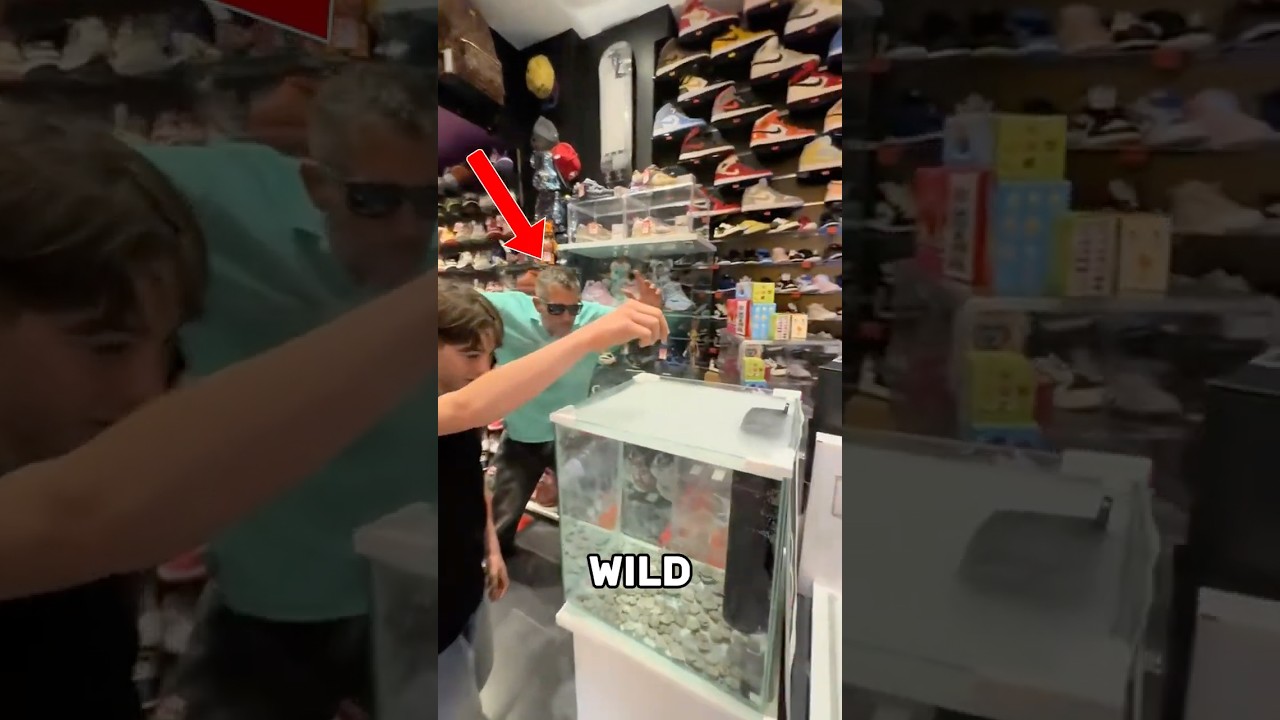 Coin Drop for Sneakers? (@mr.topdeck)