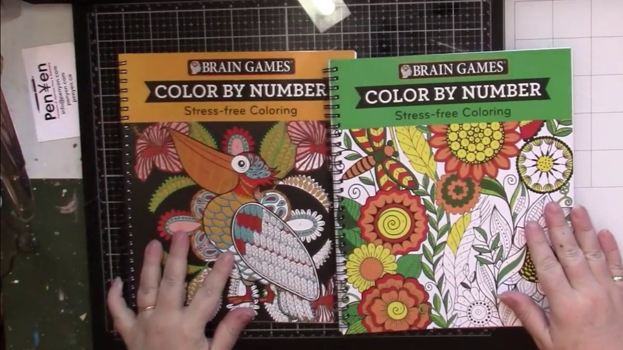 Flip: Two Brain Games Color by Number Coloring Books