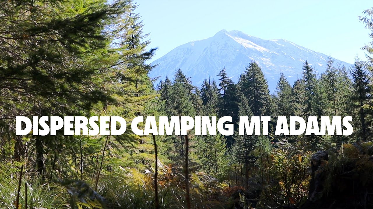 We found the best campsite 🏕 | Camping & Hiking in Mt Adam's Wilderness