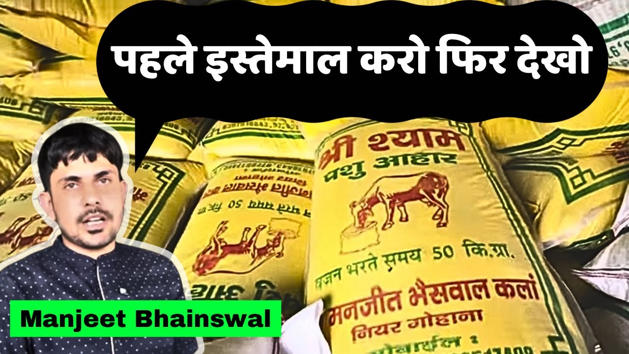 Manjeet भाई का Feed Formula बढ़ा रहा पशुओं में दूध की मात्रा - India’s no. 1 Feed