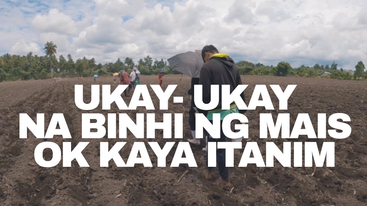 TARA TANIM TAYO! UKAY UKAY NA SEEDS NG MAIS MAGANDA KAYA? | CORN PLANTING