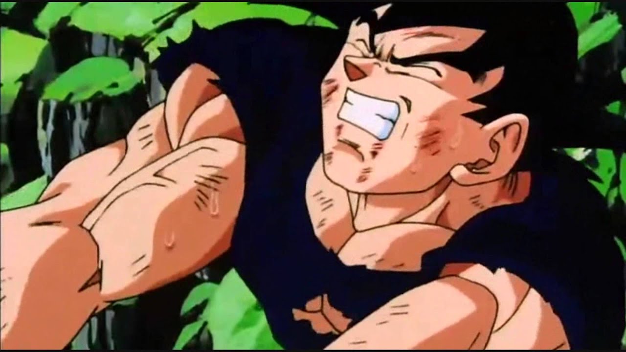 DBZ - AMV - Goku - TDG - Time of Dying