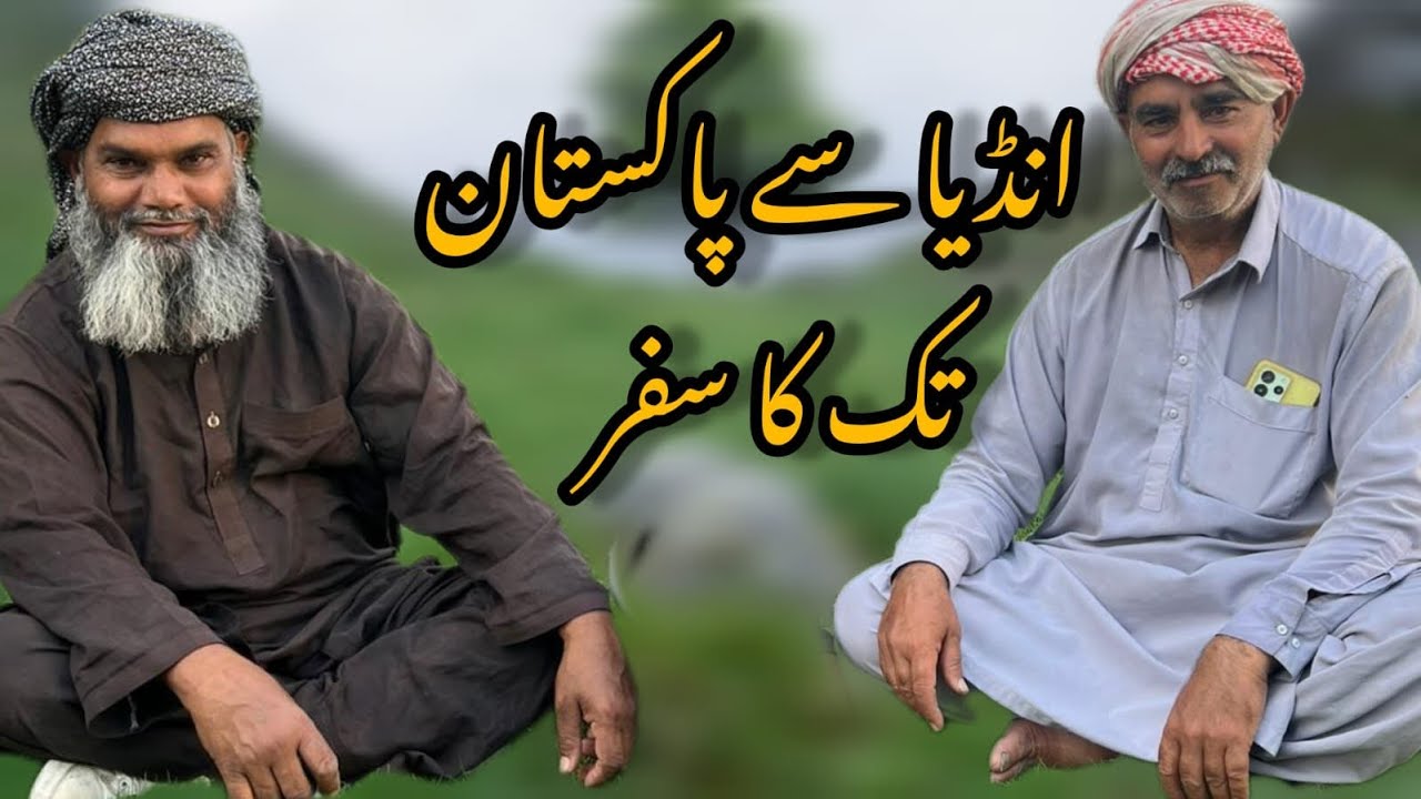 ￼ Immigration from Punjab to Punjab | A Journey of Borders, Roots & Identity
