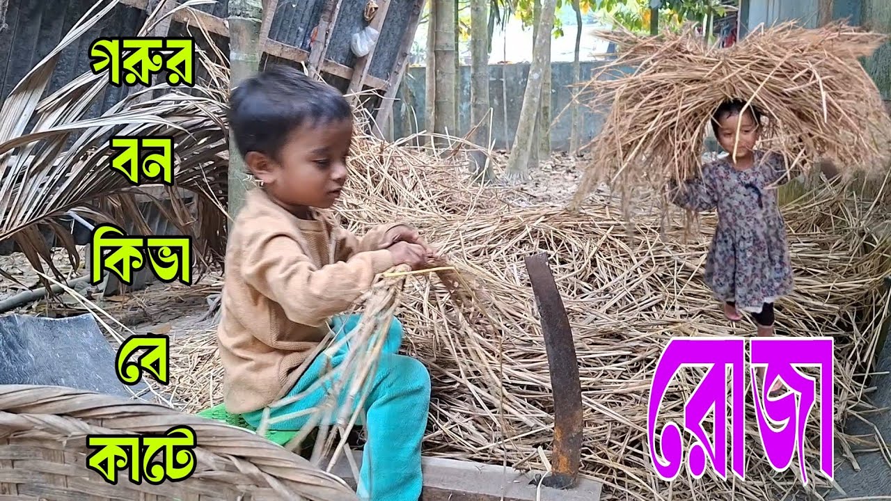 গ্রামের বন কিজের কাজে? 🌾 ছোটদের মজার কাজকর্ম | Rural Village Life in Bangladesh