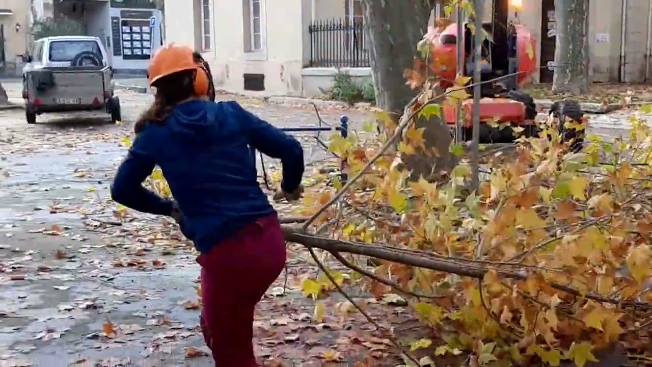 ELAGAGE ; Frayeurs sans conséquences à QUILLAN.