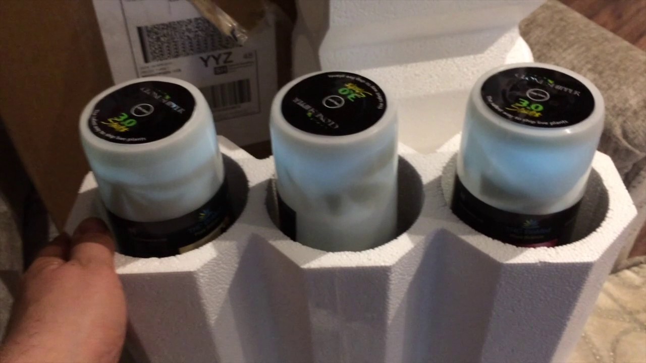 Clone Transplant Prep with Kelp Foliar Spray - Official Unboxing from THC Bio Med via Purolator