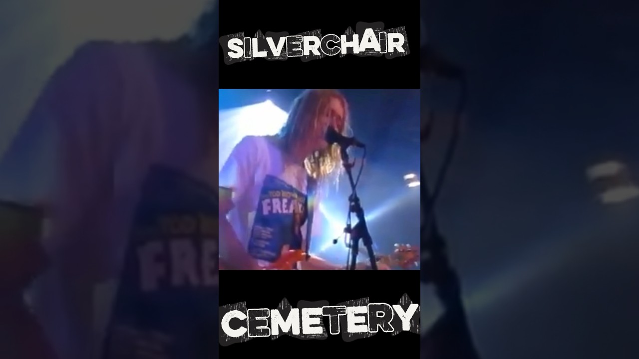 That moment when Silverchair breaks your heart with Cemetery 💔 