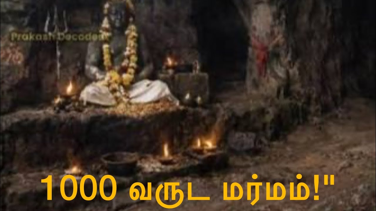 இன்றும் உயிருடன் வாழும் 1000 வயது ஞானிகள்!#mystery #sidhargal #anmeegam #science #tamil #cave #viral