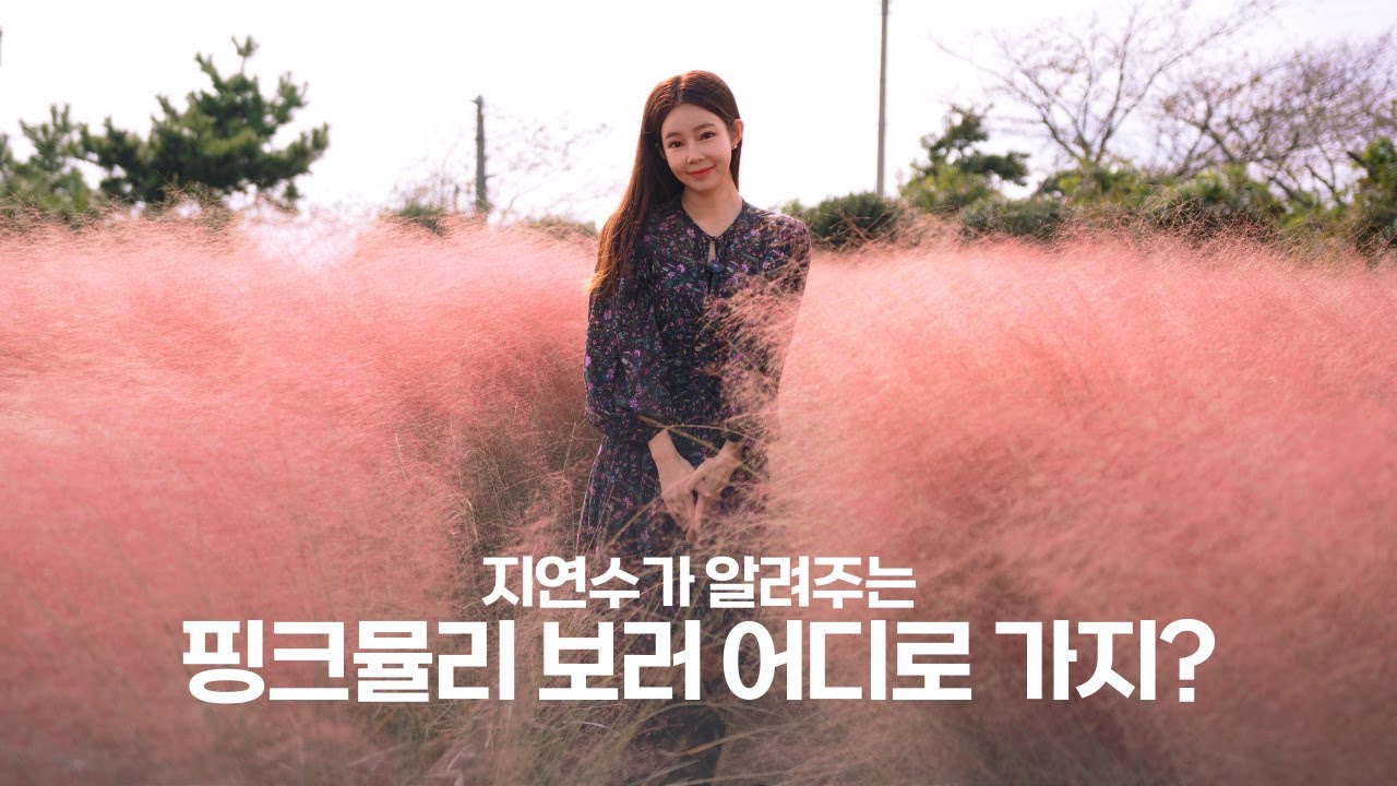 [갑조네TV] 핑크뮬리 | 지연수 추천 카페 | 제주 사진 찍기 좋은곳