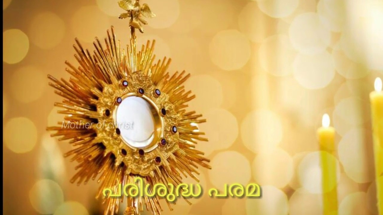 Adoration Song......              പരിശുദ്ധ പരമ ദിവ്യകരുണ്യമേ എന്നേരവും സ്തുതി ആരാധന...