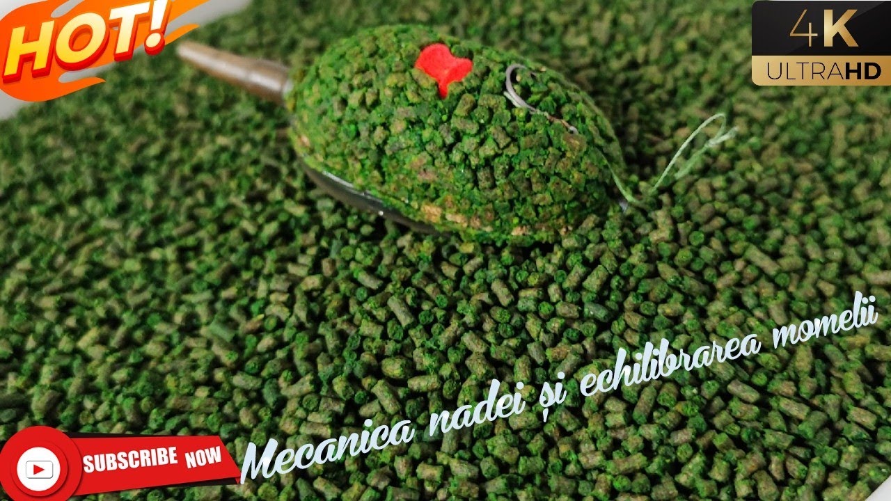 PESCUIT METHOD FEEDER.SECRETUL SUCCESULUI.MECANICA NADEI SI ECHILIBRAREA MOMELII
