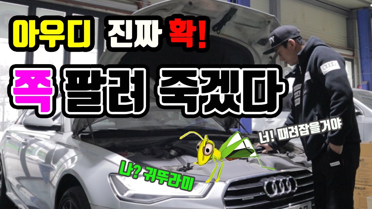 [자동차]아우디 폭스바겐 고질병 깔끔정비 #다안다TV 귀뚜라미소리 한방에 끝 (Feat.다나모터스)