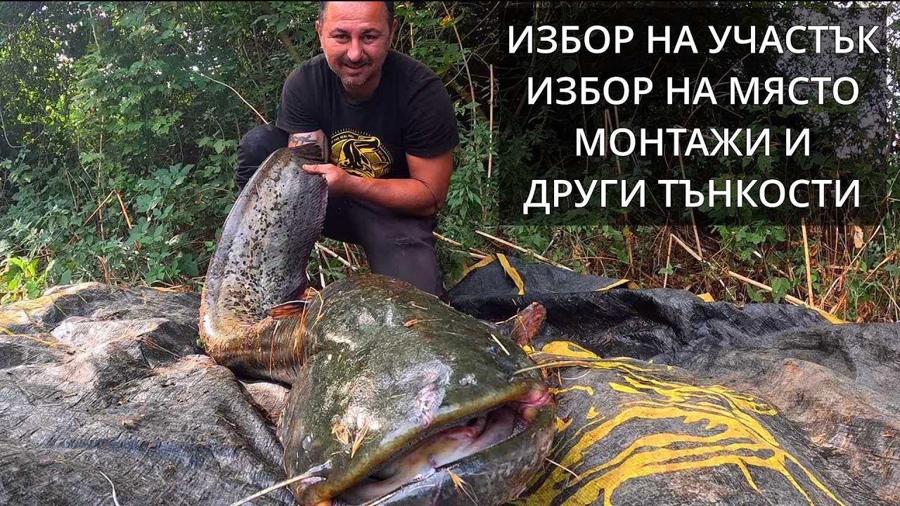 Речен риболов на сом от сам човек.